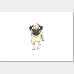 Fawn pug Dog Posters and Art